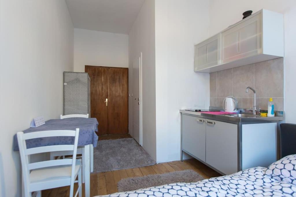 Central Zagreb Apartment Εξωτερικό φωτογραφία